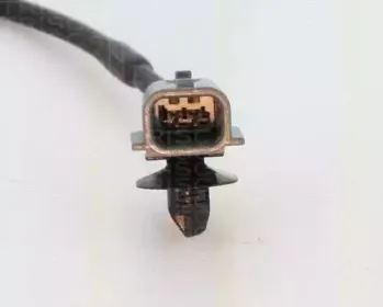 triscan-818069127