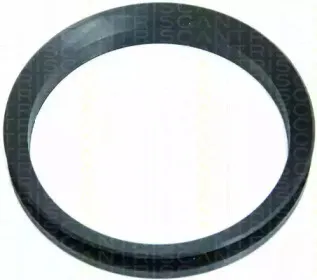 triscan-850010814
