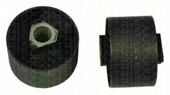 triscan-850011821