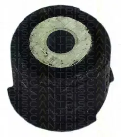triscan-850011833