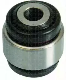triscan-850011849