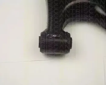 triscan-850013517
