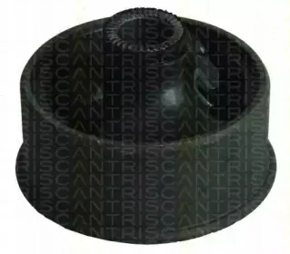 triscan-850013806