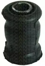 triscan-850013807