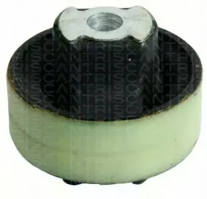 triscan-850015811