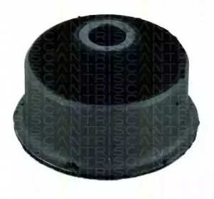 triscan-850016807