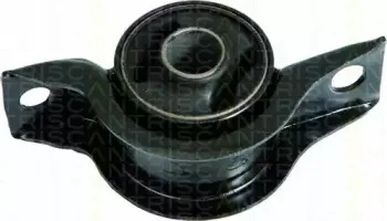 triscan-850016814