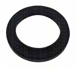triscan-850016913