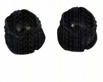 triscan-850023809