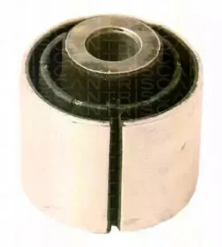 triscan-850023815