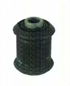 triscan-850024813