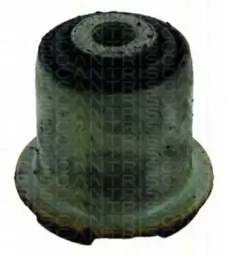 triscan-850024833
