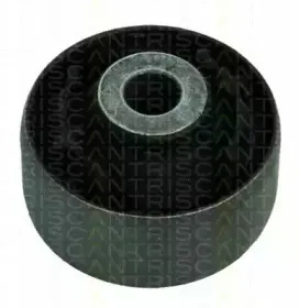 triscan-850024835