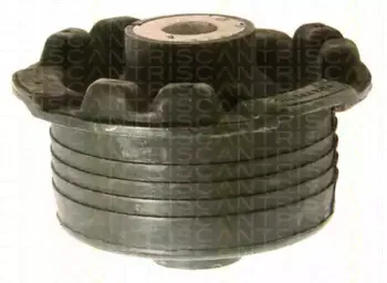 triscan-850024841
