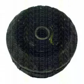 triscan-850024909