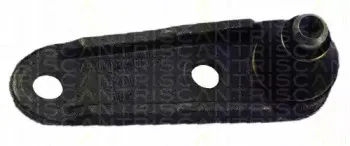 triscan-850025526