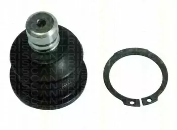 triscan-850025544