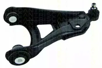 triscan-850025569
