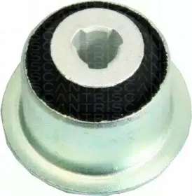 triscan-850025806