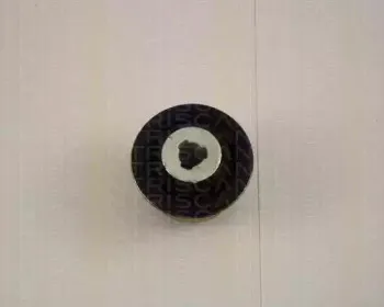 triscan-850025806