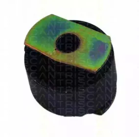 triscan-850025809
