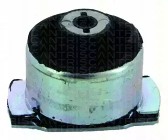 triscan-850025821