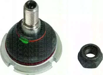 triscan-850028541