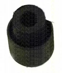 triscan-850028805