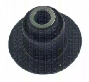 triscan-850028809
