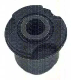 triscan-850028813