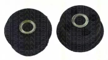triscan-850028816