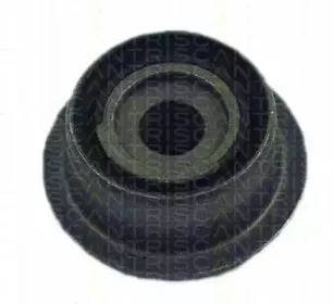 triscan-850028817