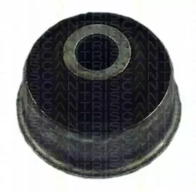 triscan-850028823