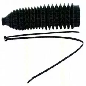 triscan-850029058