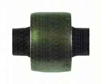 triscan-850029803