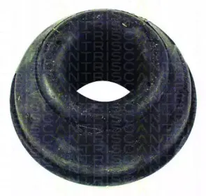 triscan-850029821