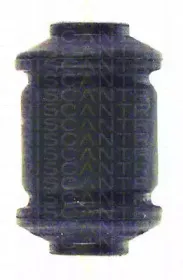 triscan-850029822
