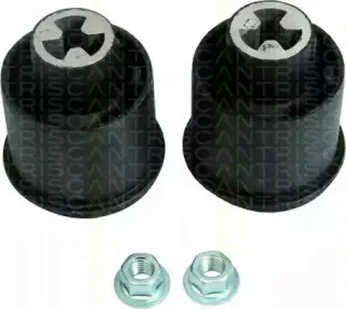 triscan-850029849