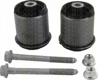 triscan-850029874
