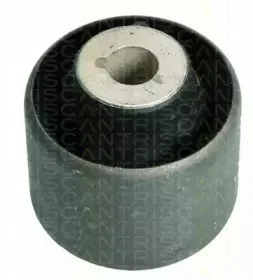 triscan-850029878