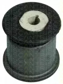 triscan-850029880