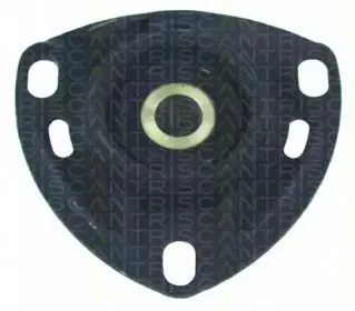 triscan-850029903
