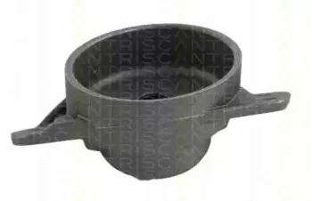 triscan-850029921