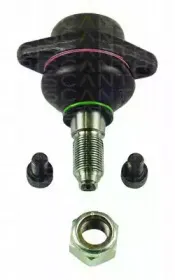 triscan-85002998