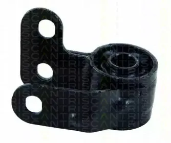 triscan-850038808