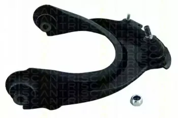 triscan-850040549