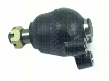 triscan-850043505