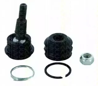 triscan-850043549