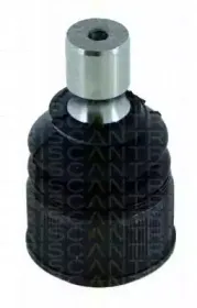 triscan-850050551