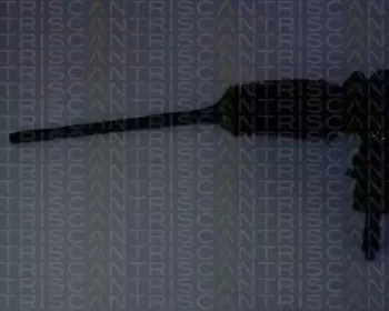 triscan-851015406